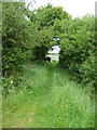 NZ9107 : Field access track at the end of Long Rigg by Humphrey Bolton