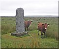 SS7643 : Memorial on Brendon Common by Roger Cornfoot