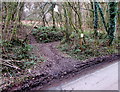 SO5207 : Entrance to Margaret's Wood Nature Reserve, Whitebrook by Jaggery