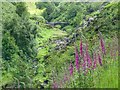 SK0173 : Packhorse Bridge, River Goyt by Mick Garratt