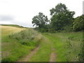 NT6573 : Track along the foot of Channel Brae by M J Richardson