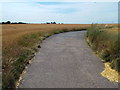 TM1928 : Track to South House Farm, near Great Oakley by Malc McDonald