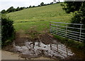 SN3807 : Muddy entrance to a hillside field near Penallt Farm west of Kidwelly by Jaggery