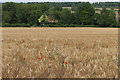 TQ0548 : View towards the North Downs by Alan Hunt