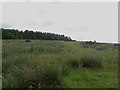 NU1310 : Moorland west of Bracken Cottage by Graham Robson