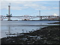 NT1078 : Firth of Forth foreshore by M J Richardson