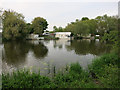 TL2672 : House boats on the Great Ouse by Hugh Venables