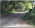 SS9082 : Warning signs - bends and low bridge ahead, Pen-y-cae by Jaggery