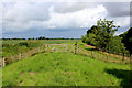 SE4367 : Embankment  beside the River Swale by Chris Heaton