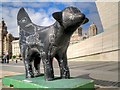 SJ3390 : Black Superlambanana by David Dixon