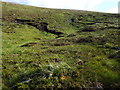  : Shallow coire high on north slopes of Dunan Liath in Glencalvie Forest by ian shiell