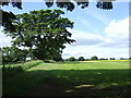 NZ0071 : Farmland and hedgerow near Sharpley by JThomas