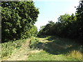 TL0652 : Bridleway to Ravensden Road by Geographer