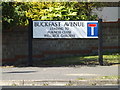 TL0652 : Buckfast Avenue sign by Geographer