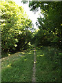 TL0752 : Bridleway to Ravensden Road by Geographer