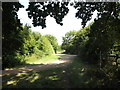 TL0752 : Bridleway to Ravensden Road by Geographer