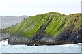 V9723 : Illauneana and Shags, Cape Clear Island by Becky Williamson