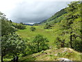 SH6452 : Hillside north of Llyn Gwynant campsite by David Medcalf