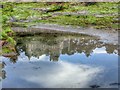 NH8757 : Rock Pool Reflections by Mick Garratt