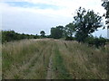 TL0594 : Public byway on Newton Hill heading to Park Spinney by Richard Humphrey