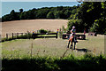 TR0652 : Horse Trials in Chilham Park by Chris Heaton