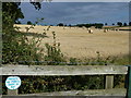 TL0786 : Harvest time near Polebrook, Northamptonshire by Richard Humphrey