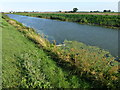 TL2489 : The River Nene (Old course) near Ramsey St Mary's by Richard Humphrey