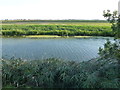 TL2389 : The River Nene (Old course) west of Ramsey St Mary's by Richard Humphrey