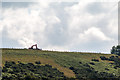 SE8291 : Farm Machinery near Levisham, Yorkshire by Christine Matthews