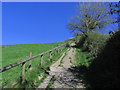 ST3350 : Pathway leading east up Brent Knoll by Colin Park