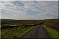 SE6494 : Bransdale Road approaching the Ouse Gill bridge by Christopher Hilton