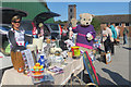 SP9211 : The Rennie Grove Hospice Care stall by Chris Reynolds