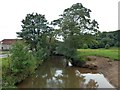 SU8921 : Cowdray - The River Rother by Rob Farrow