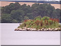 NJ7807 : Tern Islet on Loch of Skene by Stanley Howe