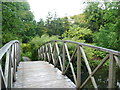 SE3044 : Footbridge in the Himalayan Garden, Harewood House by Humphrey Bolton