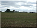 TM1082 : Farmland south of Lodge Lane by JThomas