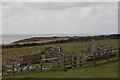 SM7524 : St Non's Chapel, Pembrokeshire by Becky Williamson