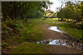 SU1911 : Stream exiting Broomy Inclosure by Peter Facey