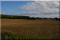 TL4839 : Strethall: view towards Catmere End from near the church by Christopher Hilton