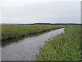 TM4973 : Dunwich River, Corporation Marsh by Roger Jones