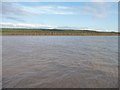 SE8516 : East bank and navigation light, River Trent by Christine Johnstone