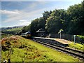 SD7920 : Irwell Vale Railway Halt, East Lancashire Railway by David Dixon