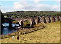 SD9963 : Grassington Bridge by Jim Osley