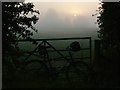 SO4172 : Early morning Autumn mist and sun rise near Paytoe by Peter Evans