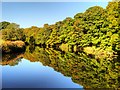 SD7913 : River Irwell, Upstream from Burrs Weir by David Dixon