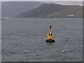 NG0085 : Bo Stainan South Cardinal Buoy by Ian Paterson