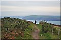 SN0141 : Path Above Pwll Glas by Deborah Tilley