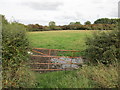 SK5997 : Grass field between Stancil Lane and Carr Bank by Jonathan Thacker