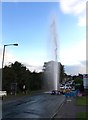 SJ8049 : Miles Green: burst water main by Jonathan Hutchins