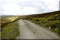 NY9402 : Track to Blakethwaite by Andy Waddington